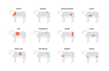 Set of vector beef steak diagram banner. American meat cutting. Cow silhouette with red zone markup and text isolated on white background. Design for cafe web menu, decor, infographic, butcher diagram