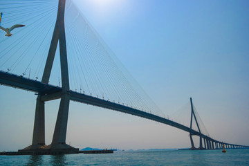 바다를 가로지르는 다리와 갈매기