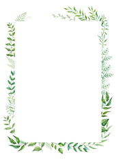 Fototapeta na wymiar Herbal mix vector frame. Hand painted plants, branches and leaves on white background. Natural card design.