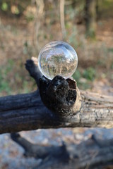Zeorb