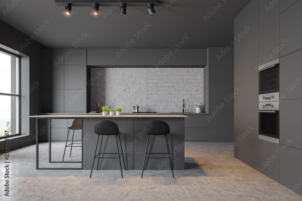 Wall mural Gray kitchen interior with bar