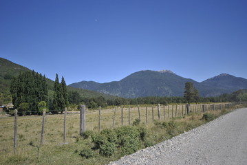 Fototapeta premium 3