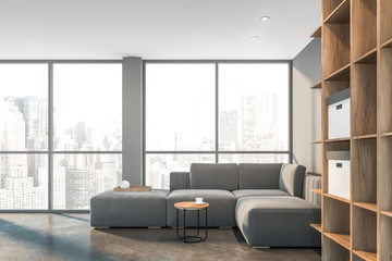 Panoramic gray living room, bookcase and sofa