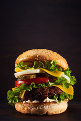 Home made hamburger with lettuce and cheese
