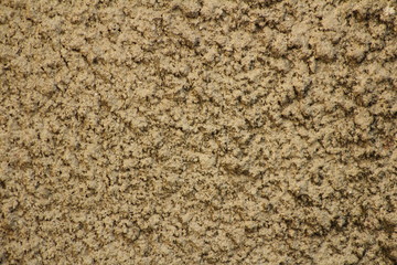 wall 