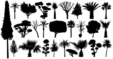 Fotobehang Trees set silhouette vector. Collection of plants and bushes. Isolated on a white background © nosyrevy