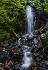 Obraz premium Bridger Creek in September