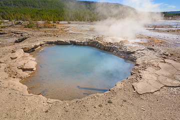 Hot Spring and Steam in Thermal Basin