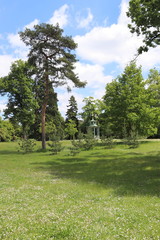 Fototapeta na wymiar Pelouse du parc de Bagatelle à Paris
