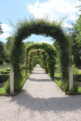 Allée du parc de Bagatelle à Paris	