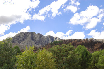 Landscape of mountains and trees