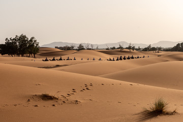 Fototapeta na wymiar the dunes of erg Chebbi in Merzouga with camel