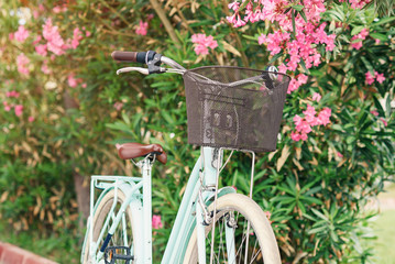 Fototapeta na wymiar Women vintage bicycle against green bushes and pink flowers. Stylish retro bicycle with the basket parked on the street.