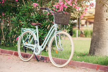 Fototapeta na wymiar Women vintage bicycle against green bushes and pink flowers. Stylish retro bicycle with the basket parked on the street.