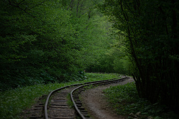  railway in the forest