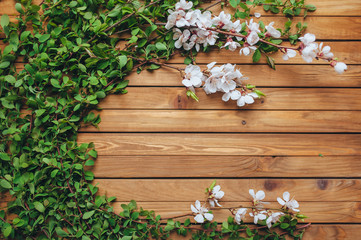 The branches of bushes with green leaves and apricot flowers from a tree are beautifully laid out on a wooden brown background. Composition and concept, copy space. Spring flowering plant.