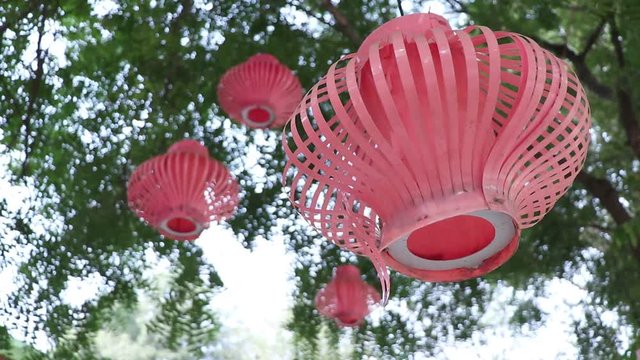 Lanterns Hanging with the trees.