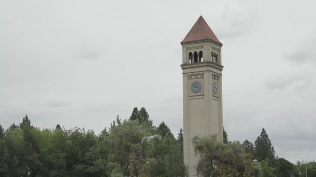 Clocktower at Riverfront Park in Spokane, WA with seagulls flying by