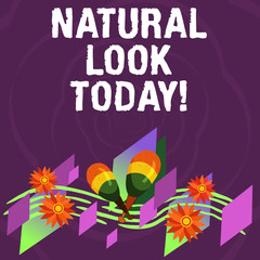 Handwriting text Natural Look Today. Concept meaning not made or caused by showing or chemical substance Colorful Instrument Maracas Handmade Flowers and Curved Musical Staff