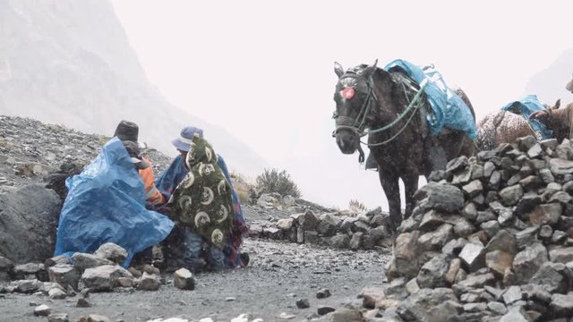 Peruvian family on basecamp with his horse during a snowfall near the Nevado Pastoruri. 4k	