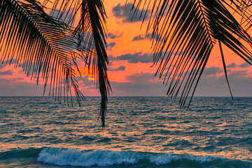 Colourful dawn on a tropical beach