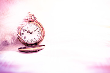 Antique pocket watch on a white background in vintage style 