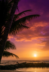 Glorious Kaua'i Sunrise in Hawaii