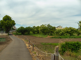 Fototapeta na wymiar 日本の田舎の景色