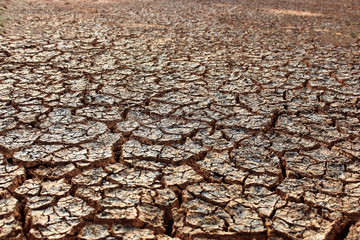 The ground has cracks in the top view for the background