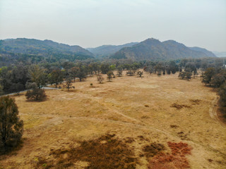 Aerial view of yellow dry grass land, dark trees and mountain on the background after big hot summer season without rain.