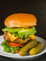 ハンバーガー　The American fast foods hamburger