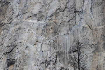 Granite Wall El Capitan