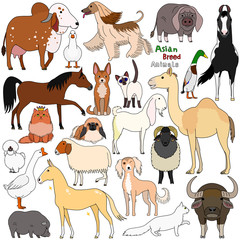 Fototapeta premium doodle of Asian breed domestic animals