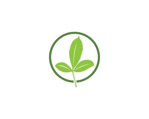Green leaf logo