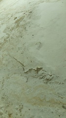 Moisture Effect over white painted wall 