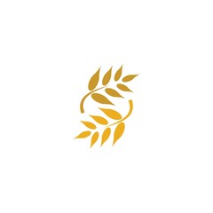 Wheat vector icon illustration design