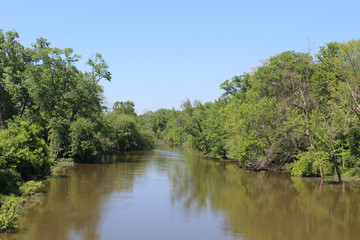 Des Plaines River at Campground Road Woods on a cloudless day