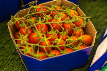 Close-up of cherry tomatoes