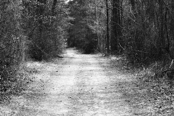 Fototapeta premium Endless Pathway