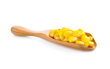 sweet corn seeds in wood scoop on white background