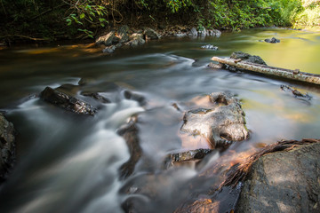 Long exposure shot.River with rocks in rainforest.