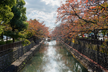 Fototapeta premium 大垣市初秋