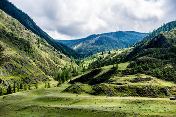 Naklejka premium Beautiful spring landscape in Altai 