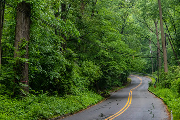 Winding two lane road leads into lush green woods around blind turn