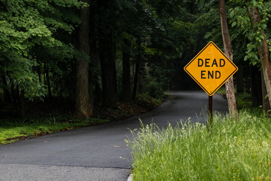 Yellow "DEAD END" sign next to dark winding road in the middle of nowhere