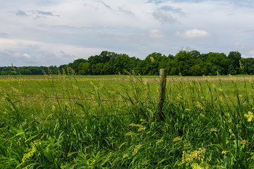 Old fence and open field