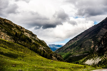 Fototapeta premium Beautiful spring landscape in Altai 