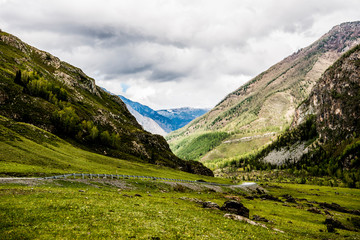 Obraz premium Beautiful spring landscape in Altai 