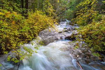 Cascading waterfalls in Skagway, Alaska on hike/hiking trail to Lower and Upper Dewy Lakes. Soothing calming peaceful sounds of nature in natural scenic mountain woodland environment.