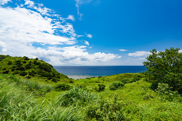 Fototapeta na wymiar Landscape of Ishigaki Island